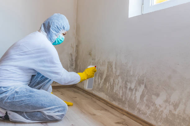Bathroom Mold Removal assessment in Mineola bathroom